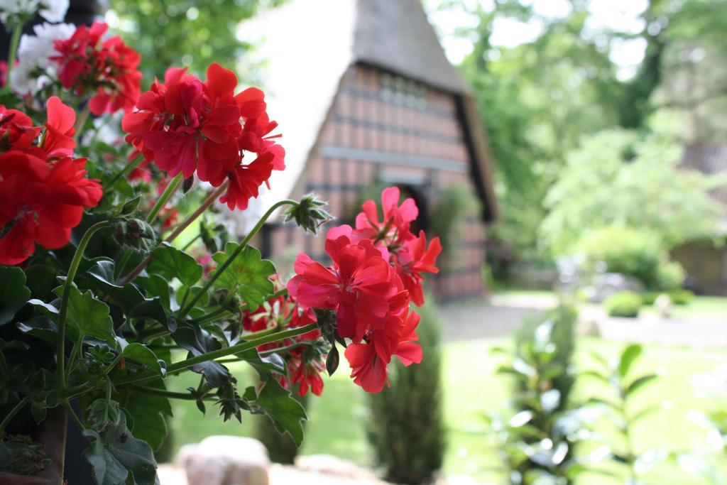 Ostehof Weertzen Villa Buitenkant foto